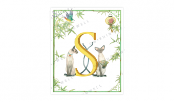 149. 'S' Siamese Cat * Wishingwell * wenskaart