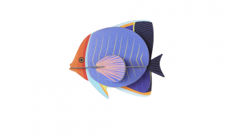 21. Butterflyfish Wall Art * Studio ROOF