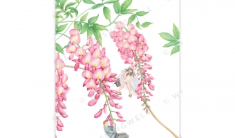 FL12. Wisteria * Wishingwell gift card