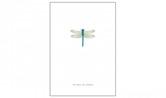 027. You make me wonder * Studio Mira gift card