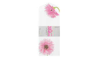 46.2 Gerbera Enveloppen * Midori