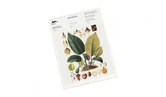 NP93 Botanical * A5 notepad * Pepin Press