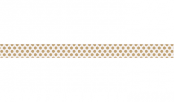 D365 * dot gold 2 * MT masking tape