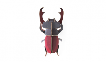 26. Stag Beetle Wall Art * Studio ROOF