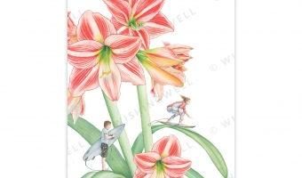 FL08. Amaryllis * Wishingwell gift card