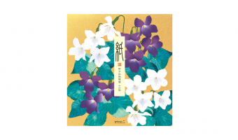 15.1 Violet letter pad * Midori