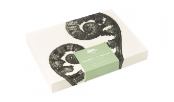 CO06 Wonders Of Nature * Correspondence set * The Pepin Press