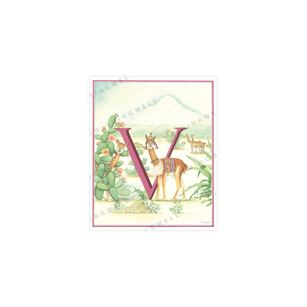 152. 'V' Vicuna * wishingwell * card
