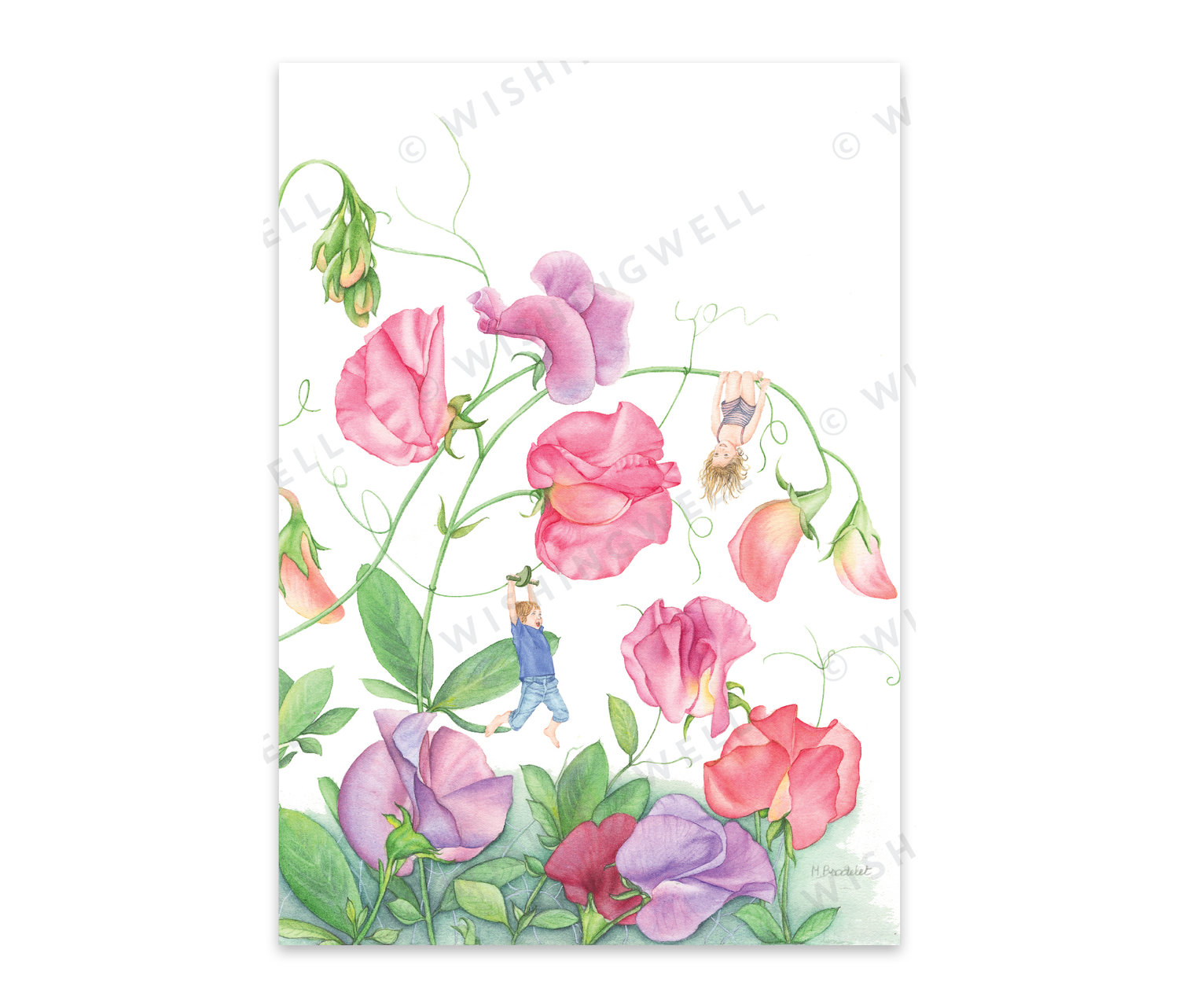 FL11. Sweet Peas * Wishingwell gift card