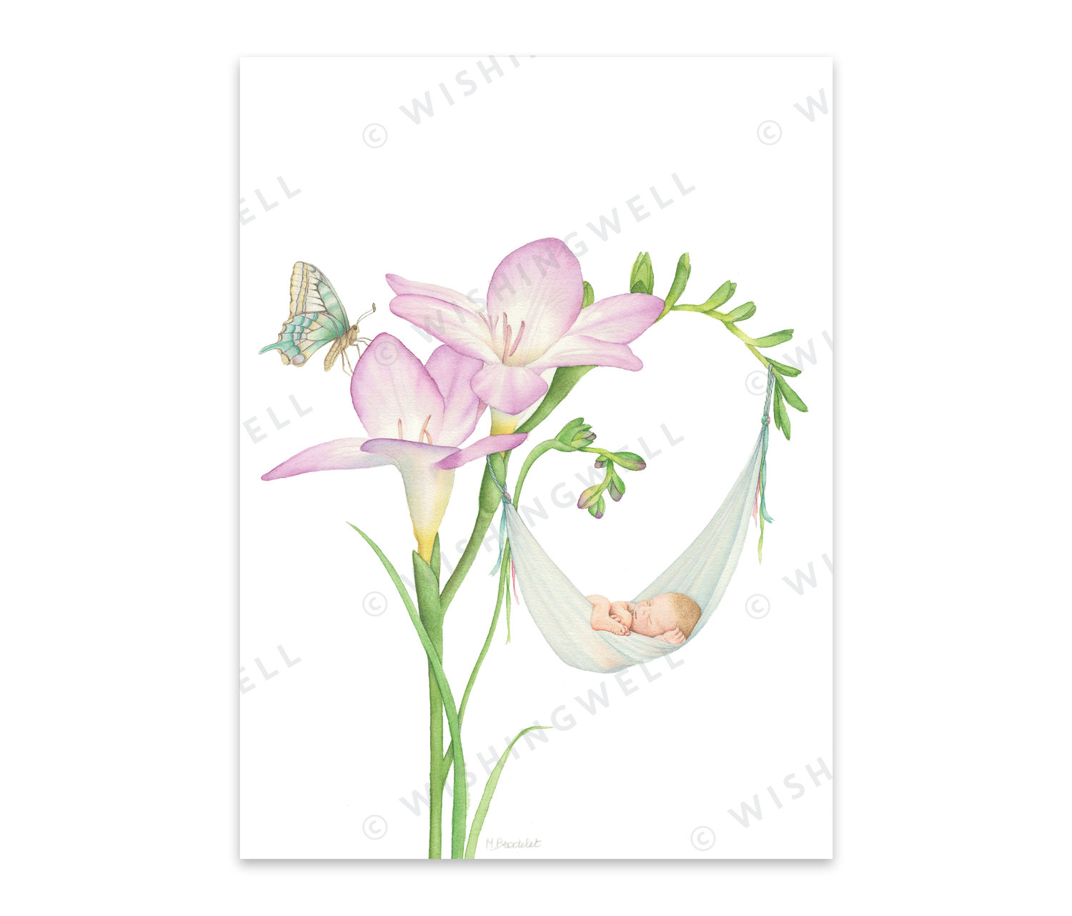 FL09. Freesia * Wishingwell gift card