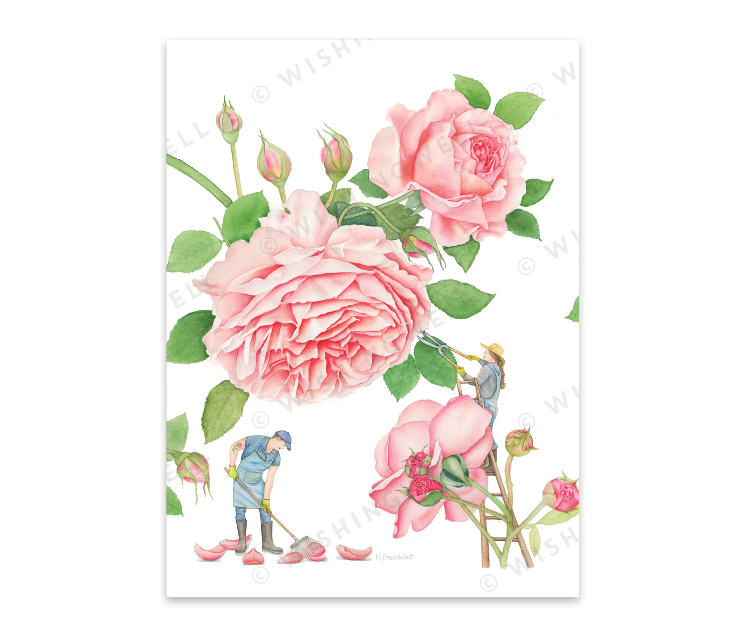 FL05. Rose * Wishingwell gift card