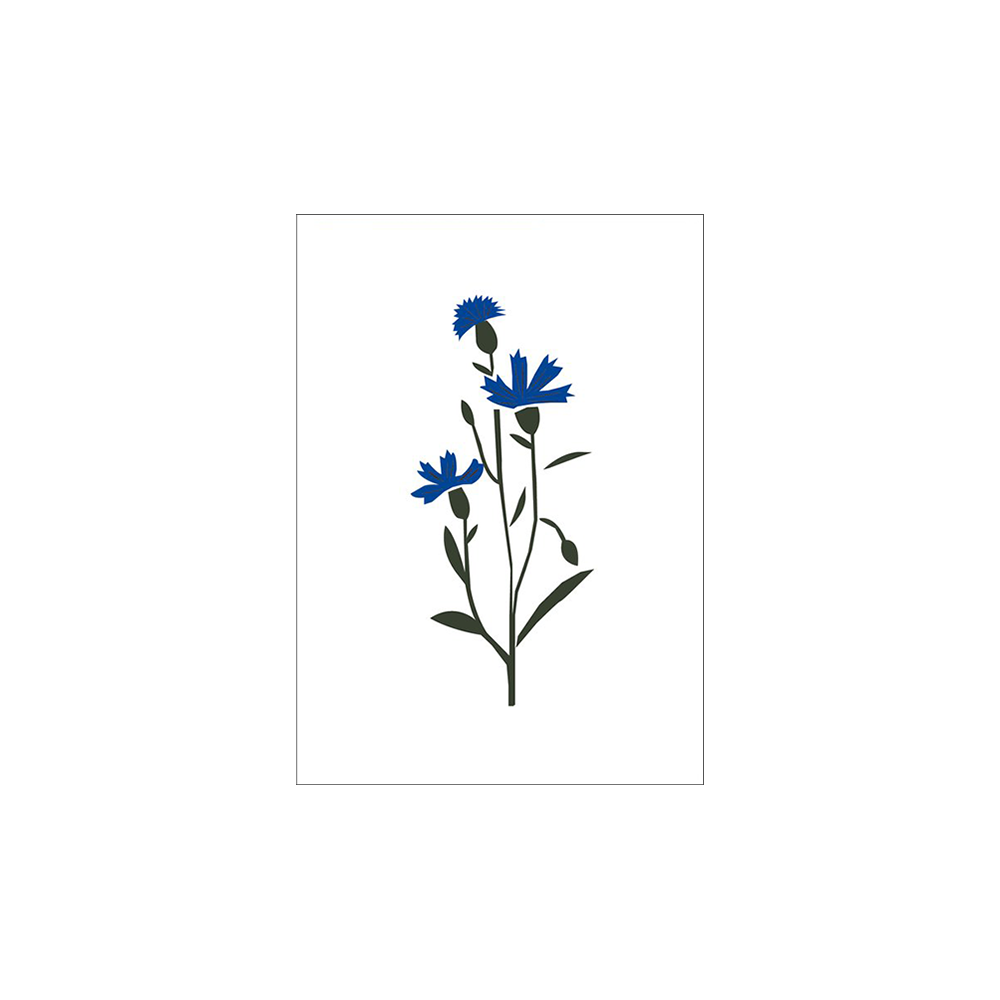 02. Cornflower, greeting card * Michoucas design