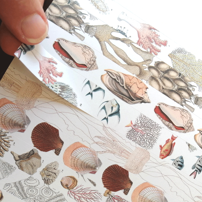 Art Nouveau * Labels, Stickers and Tapes * The Pepin Press