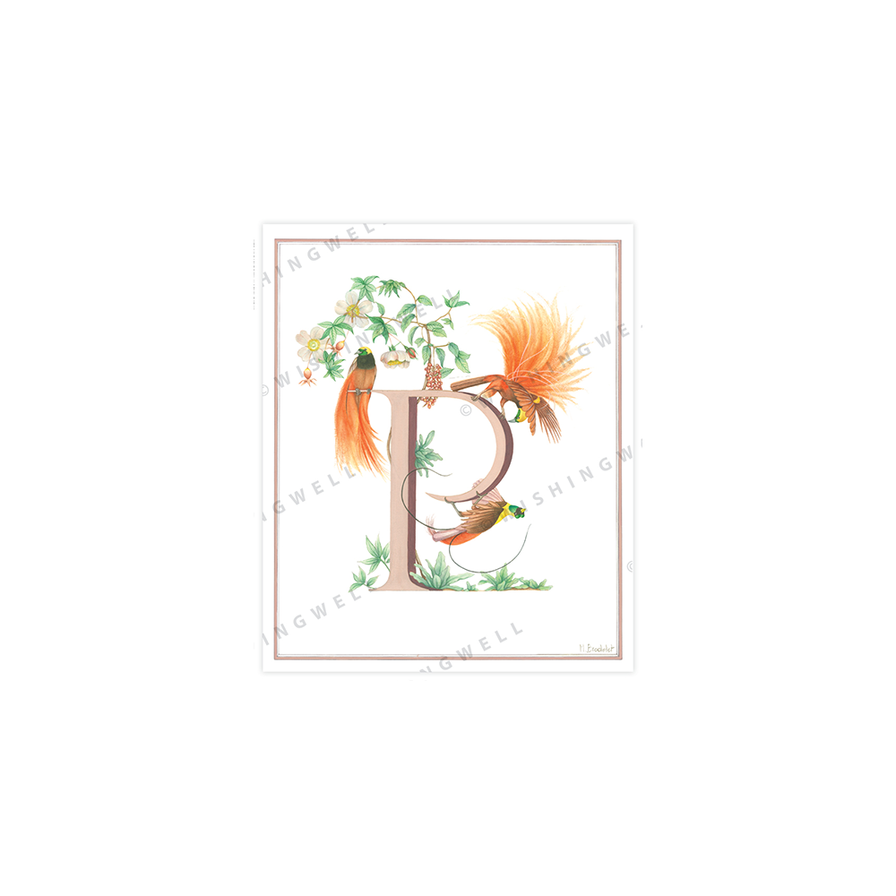 146. 'P' Paradise Bird * Wishingwell * card