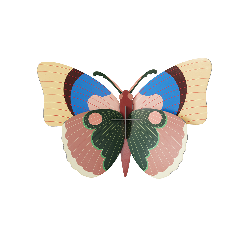 29. Cepora Butterfly Wall Art * Studio ROOF
