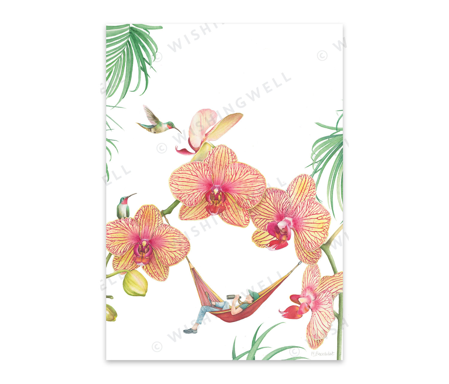 FL07. Orchids * Wishingwell * card