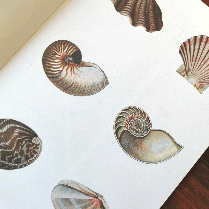 Art Nouveau * Labels, Stickers and Tapes * The Pepin Press