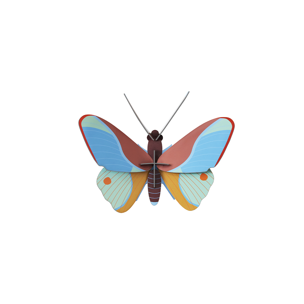 28. Claudina Butterfly Wall Art * Studio ROOF