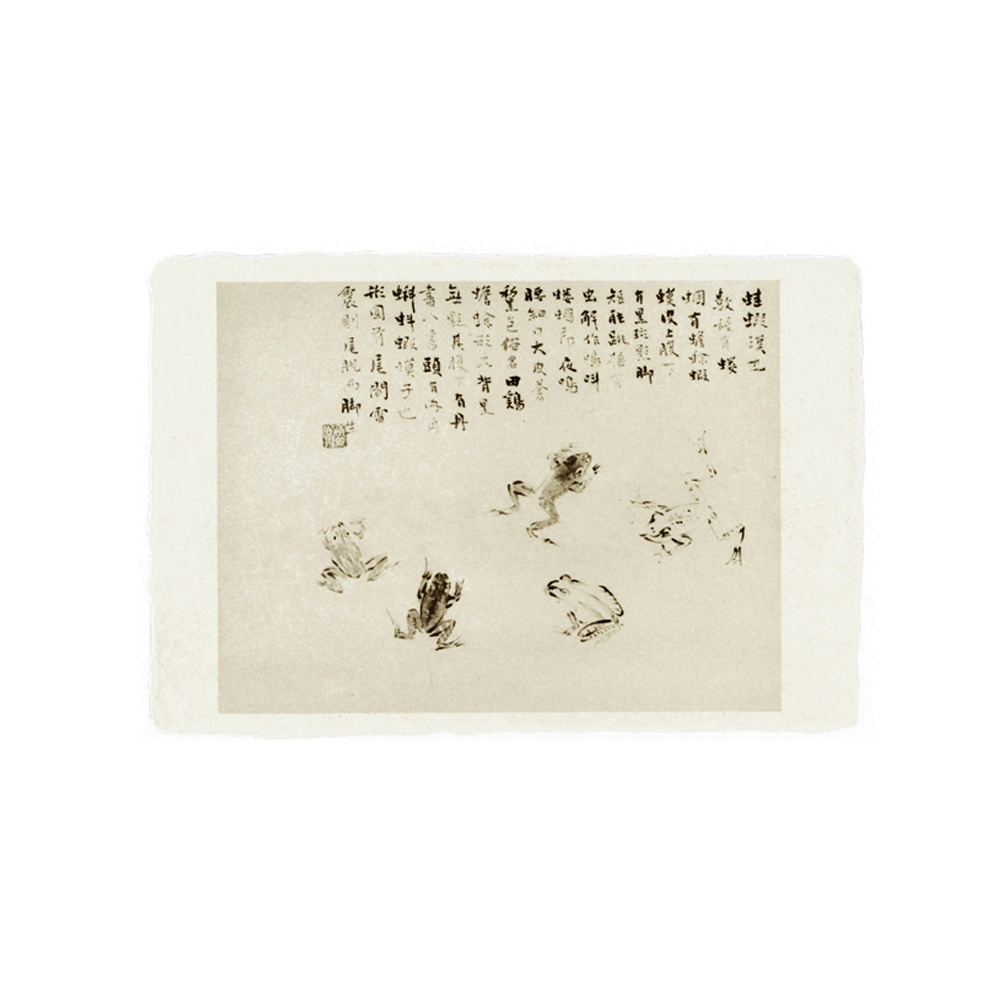 19. frog and pond, Japanese Post Card * Benrido
