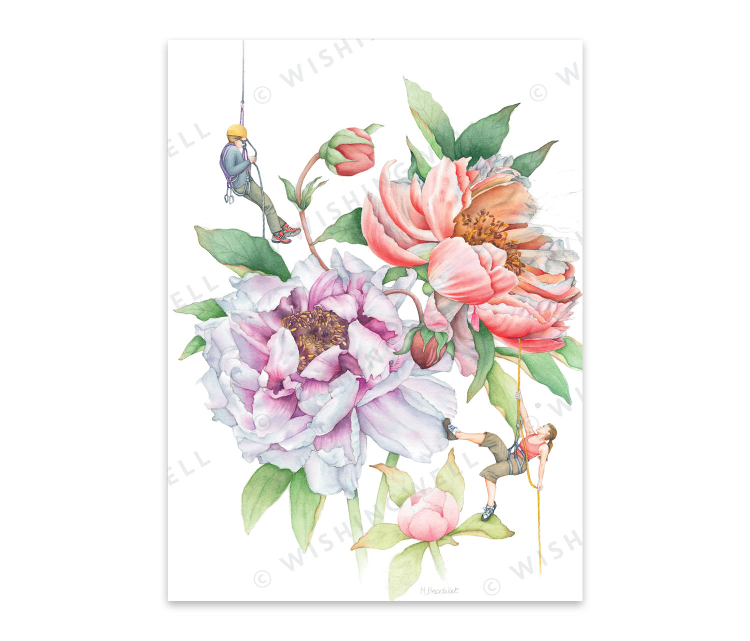 FL01. Peonies * Wishingwell gift card