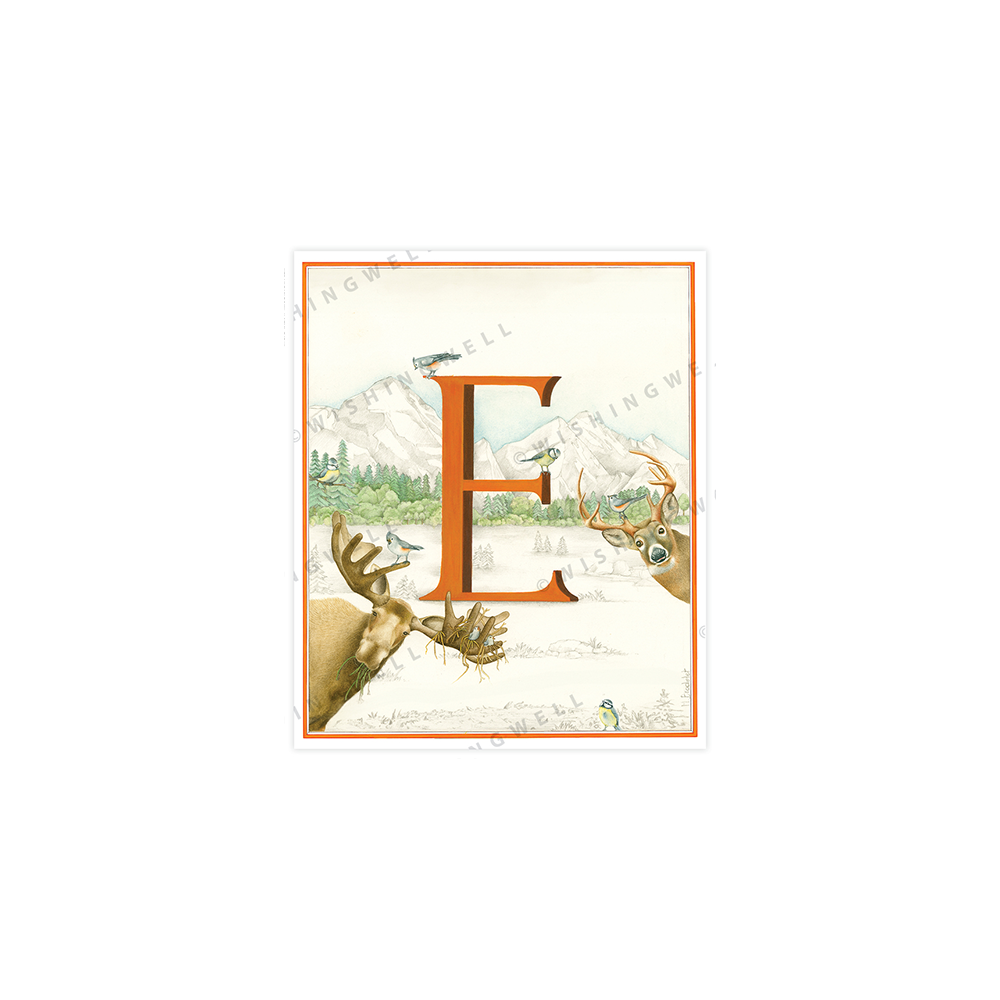 134. 'E' Elk * Wishingwell * card