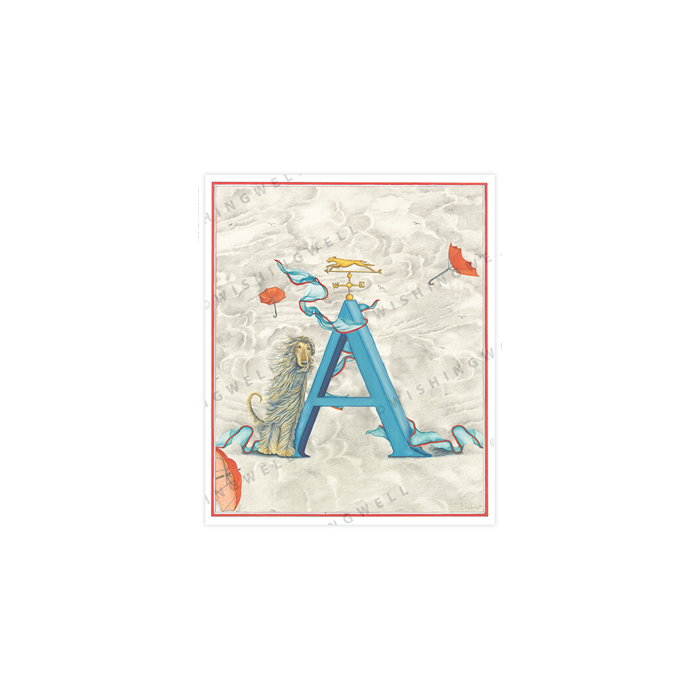 129. 'A' Afghan Hound * Wishingwell * card