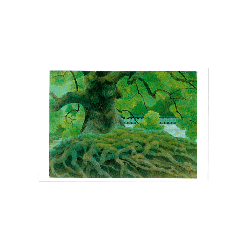 020. An old tree of Seiren-in,  Japanese post card * Benrido