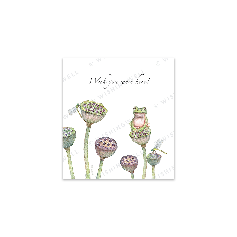 74. Frog and Lotus * Wishingwell gift card