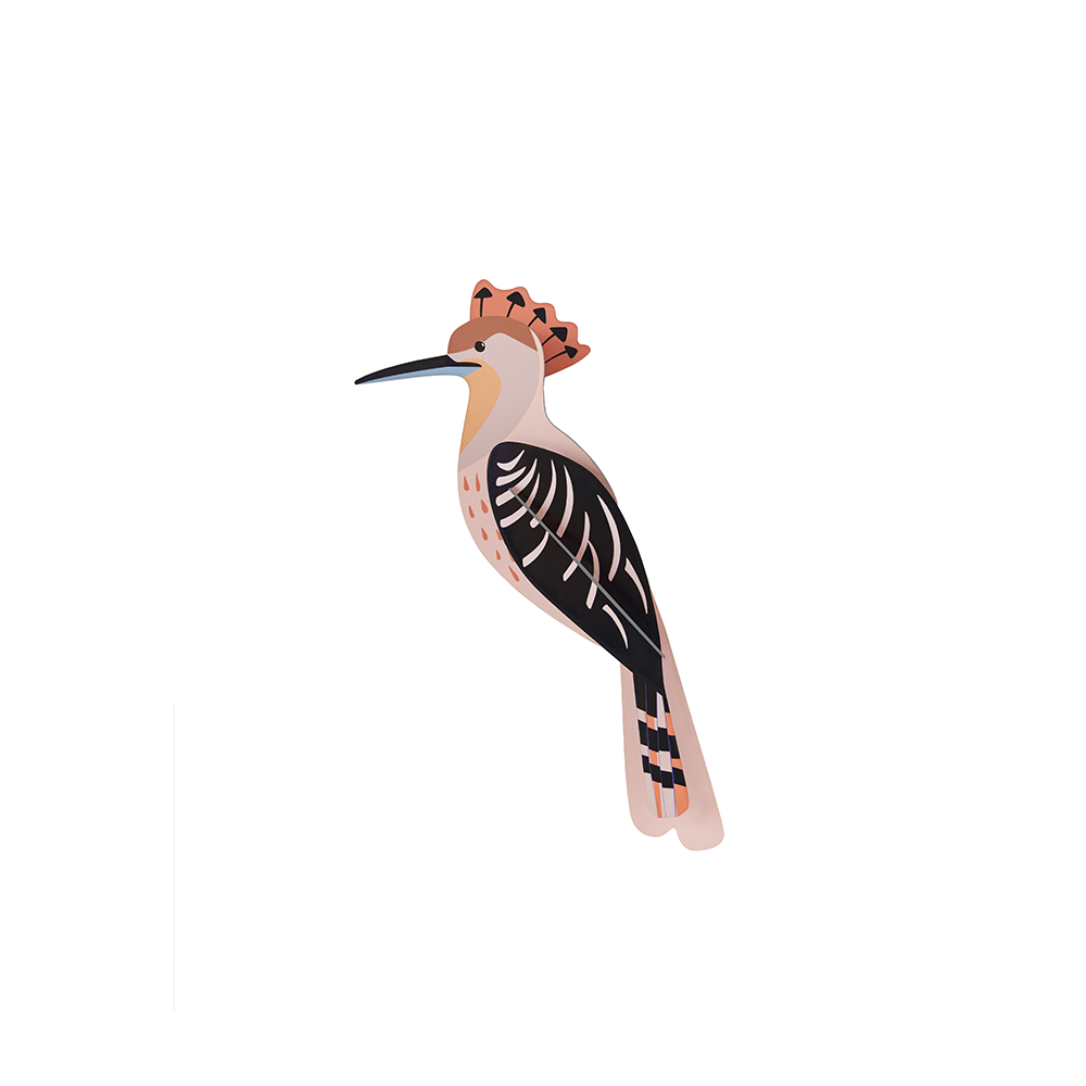 30 Hoopoe Wall Art * Studio ROOF