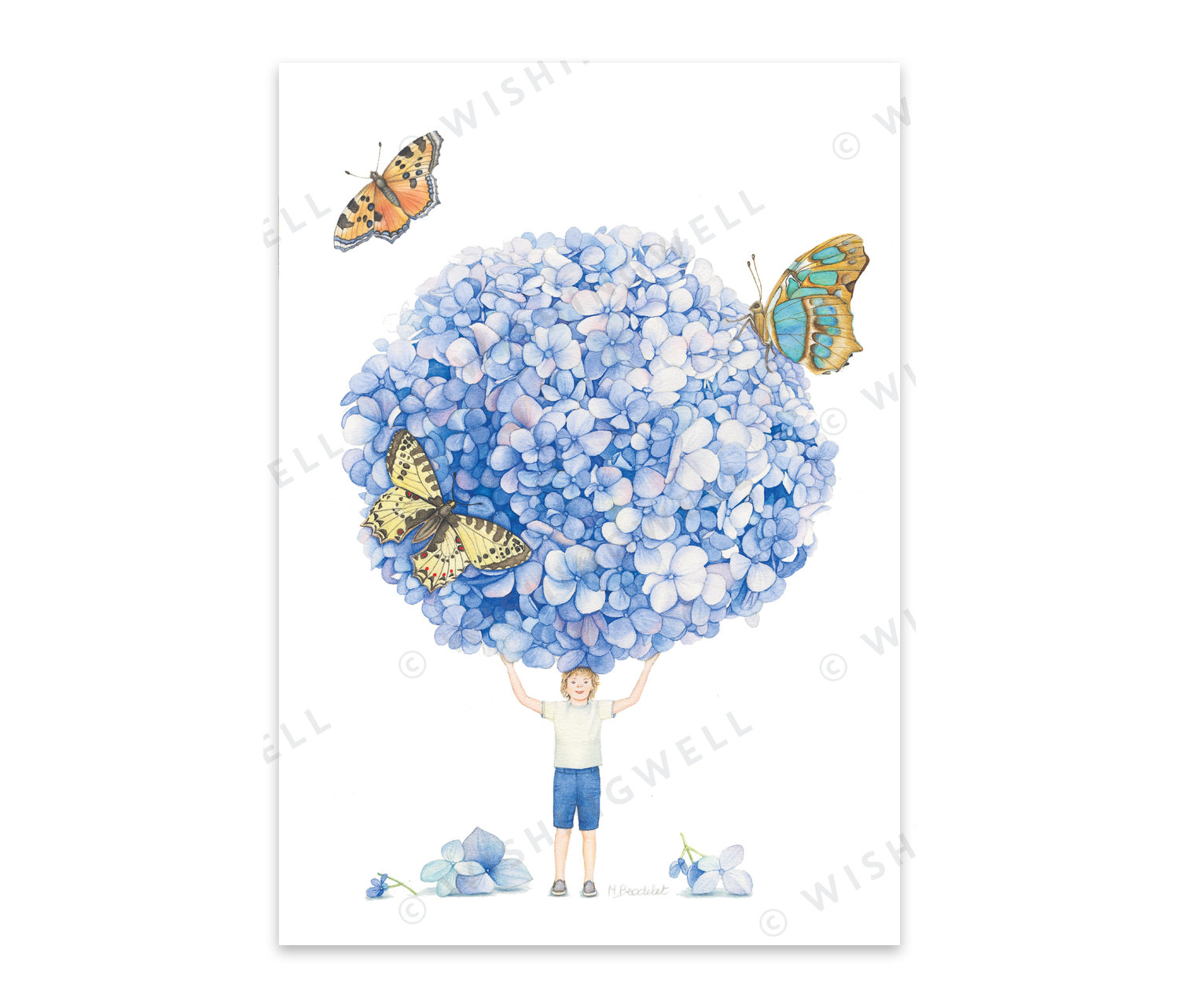 FL10. Hydrangea * Wishingwell wenskaart 