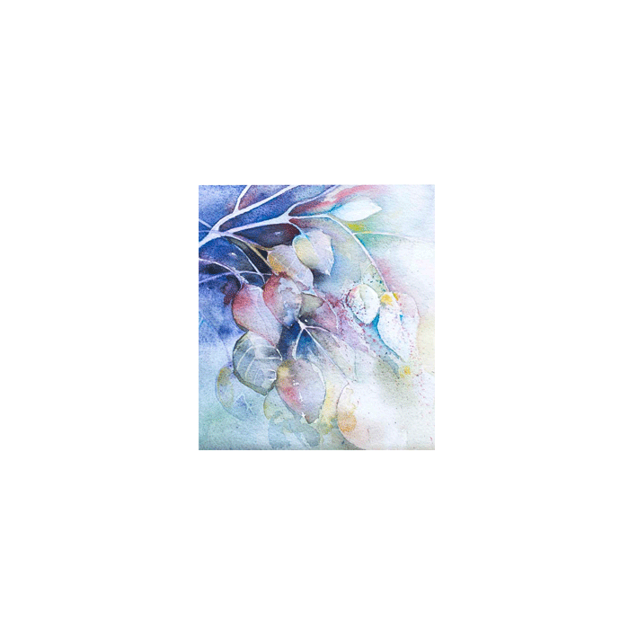 IV.011 * Bluebell Aquarel * wenskaart * Arti