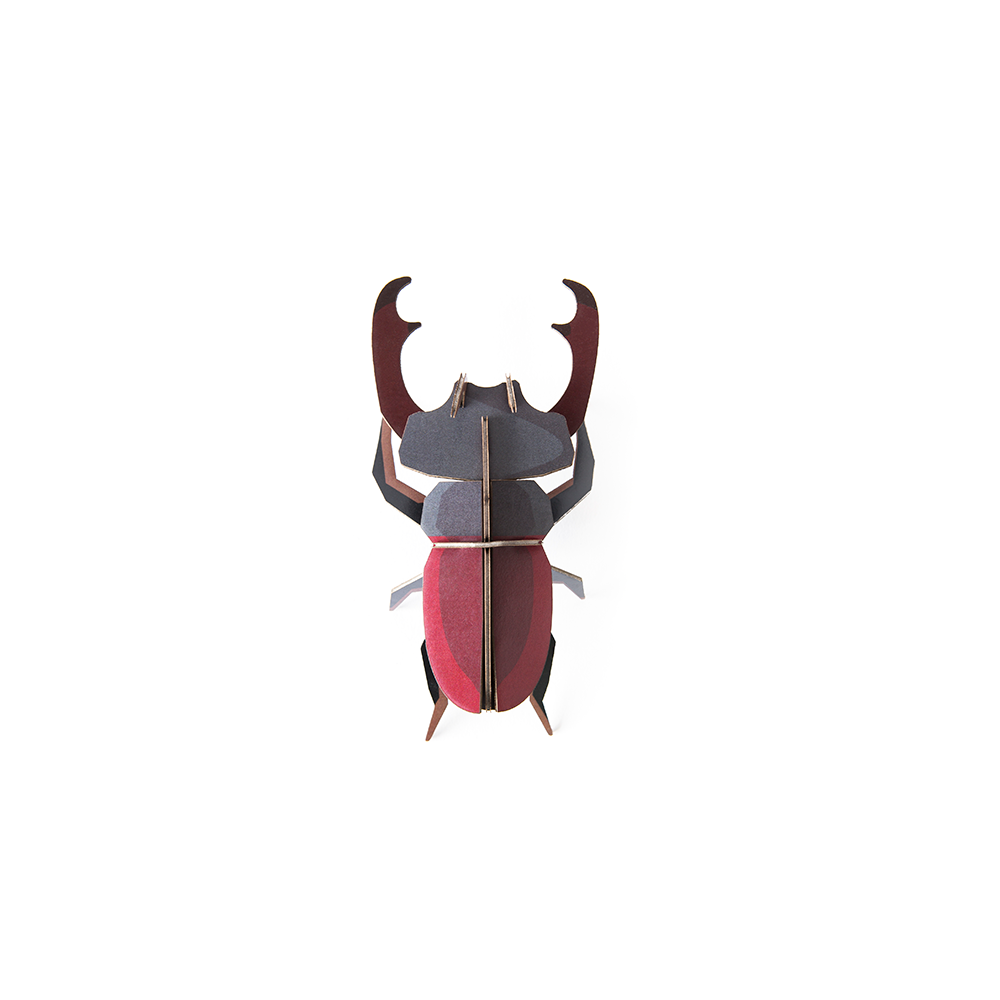 26. Stag Beetle Wall Art * Studio ROOF