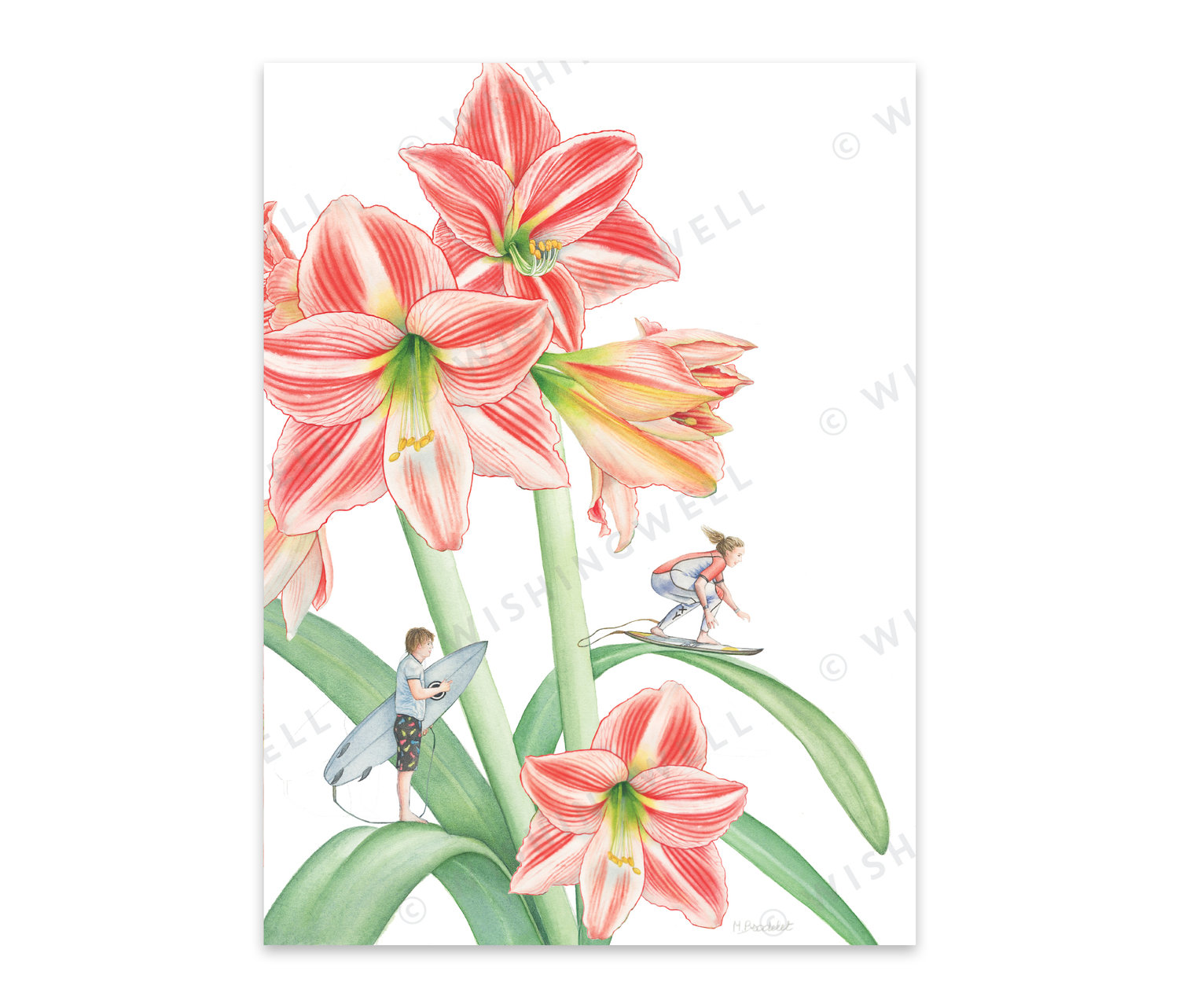 FL08. Amaryllis * Wishingwell gift card