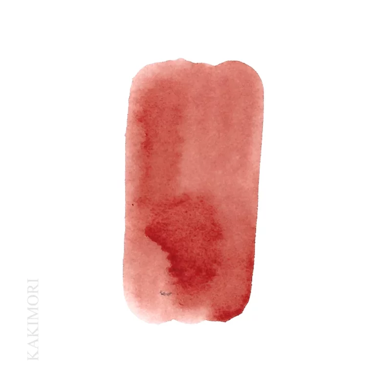 14. Strawberry Jam - Inkstand collection pigment inkt * Kakimori