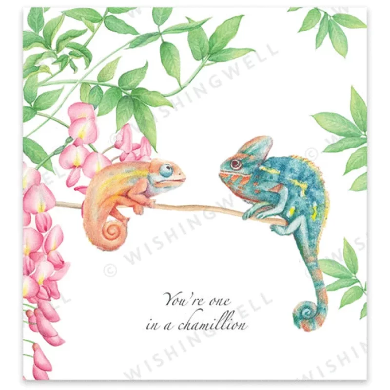 W43. You're one in a chamillion * Wishingwell gift card