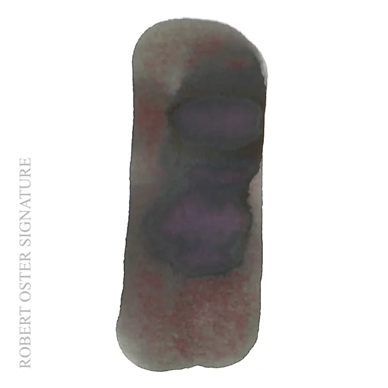 57. Dark Chocolate * Robert Oster Signature ink