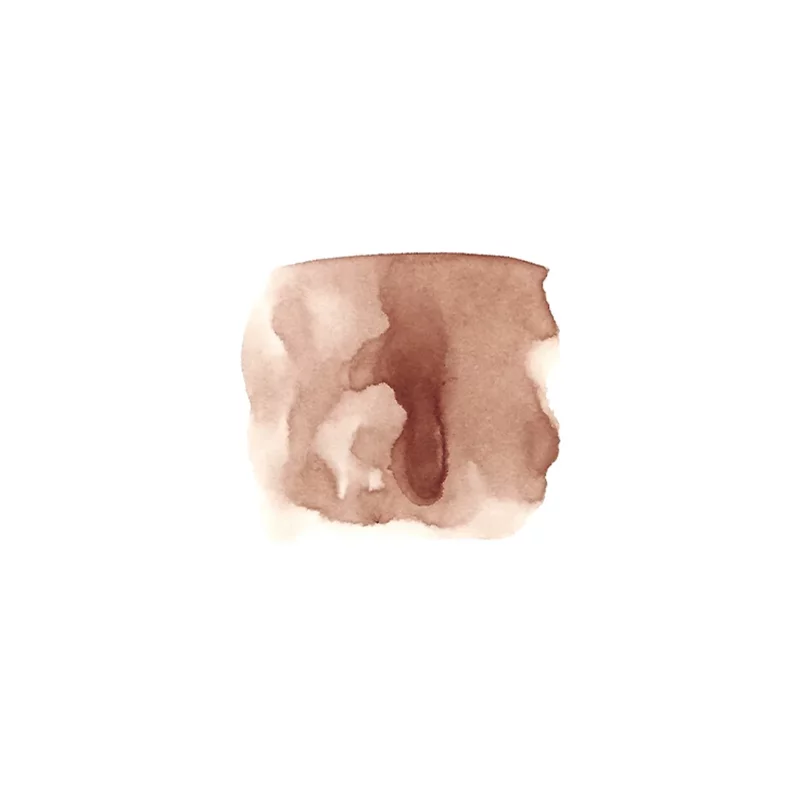 Cedar #5 * Vegetal Ink * TAG Fumisome