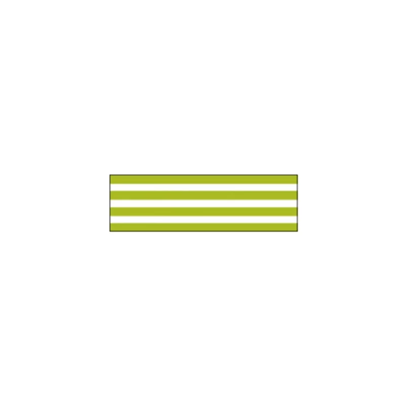 D388 * Border Kiwi * MT masking tape