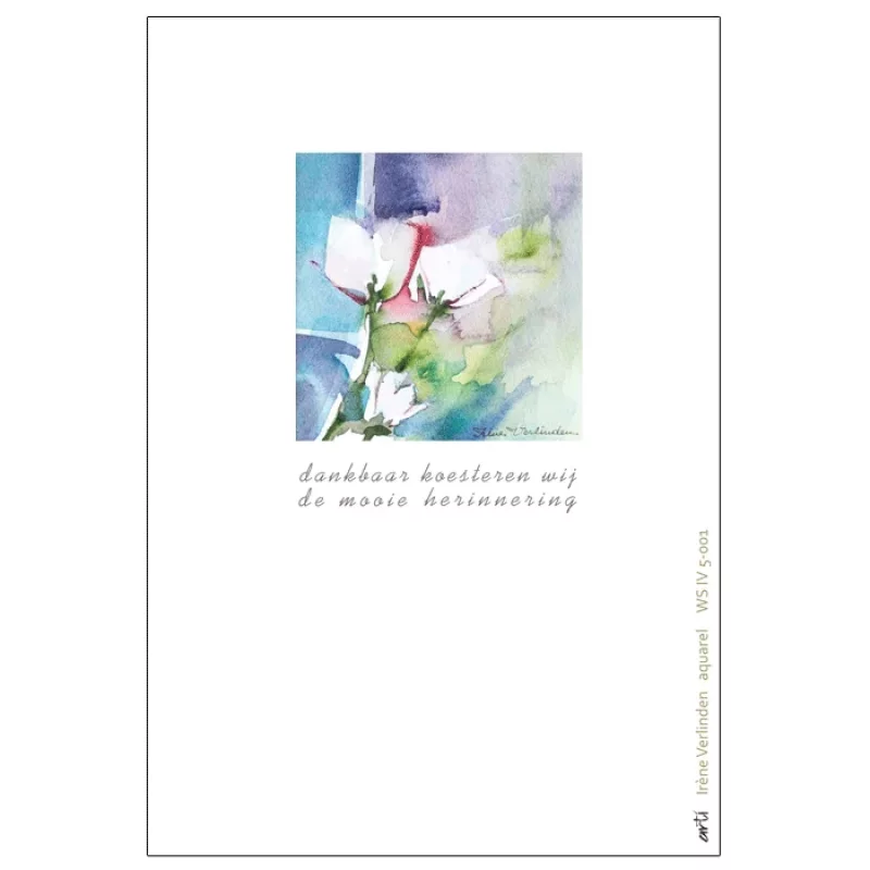 IV.5001 * Witte roos * Arti