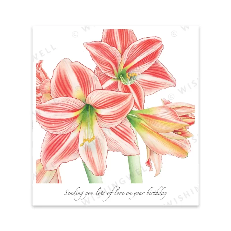 WFW11. Lots Of Love On Your Birthday * Wishingwell Greeting Card