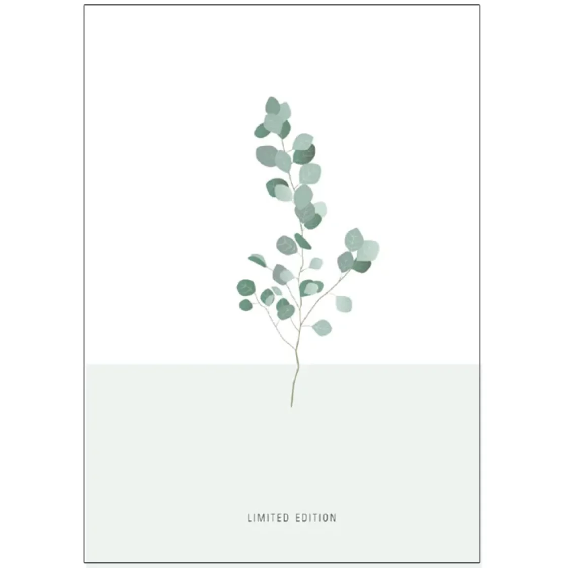 003. Limited Edition * Studio Mira gift card