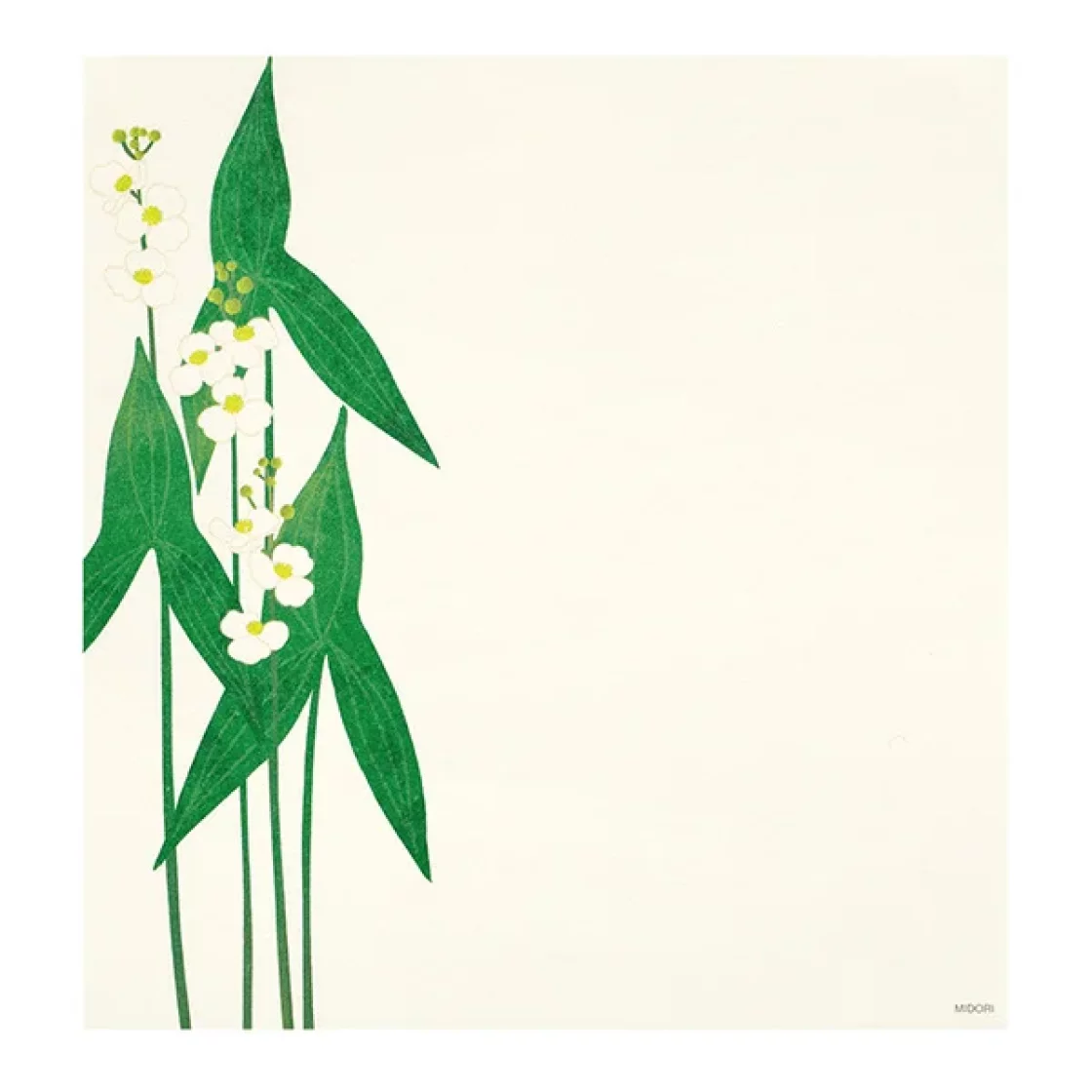1.1 Waterside * Japanese writing paper * Midori