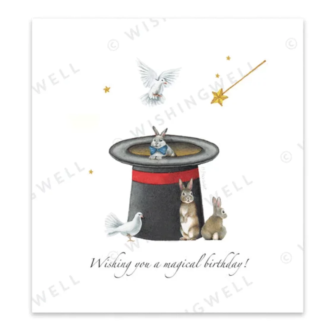 W10. Wishing you a magical birthday * Wishingwell gift card