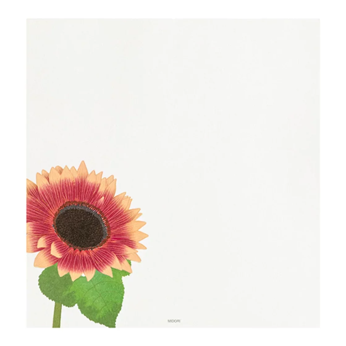 68.1 Sunflower Letter Paper * Midori