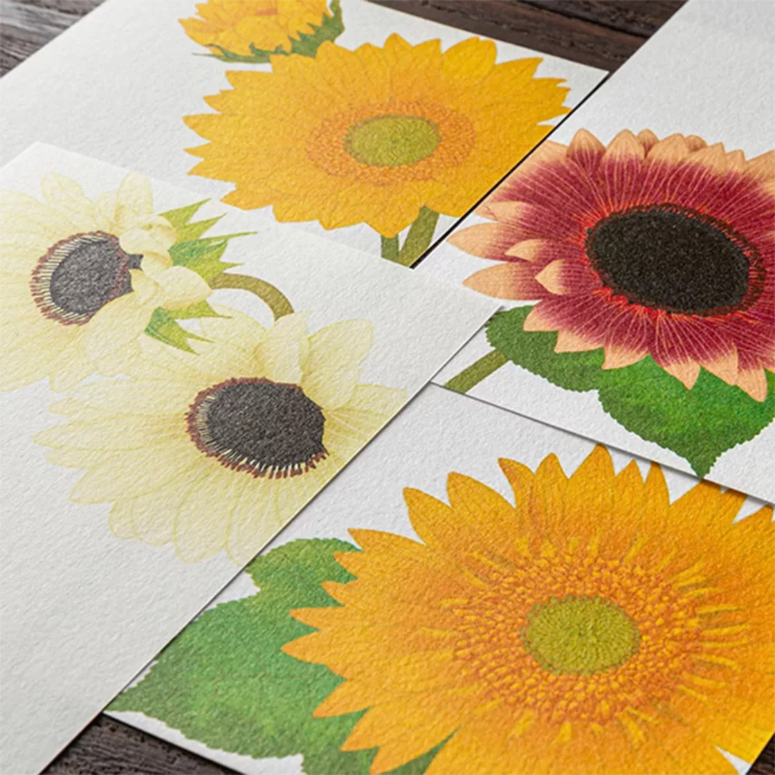 68.3 Sunflower Message Pad * Midori