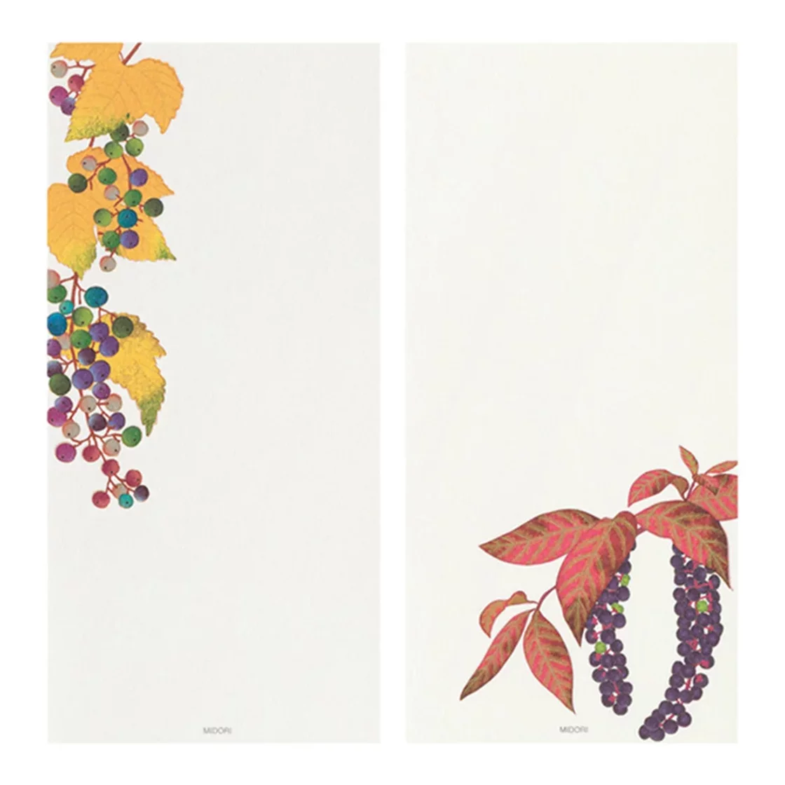 71.3 Autumn Fruits 2026 Message Pad * Midori