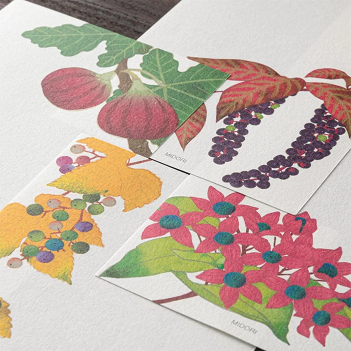 71.3 Autumn Fruits 2026 Message Pad * Midori