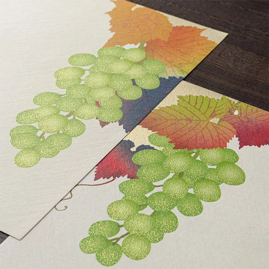 74.1 Grapes Letter Paper * Midori