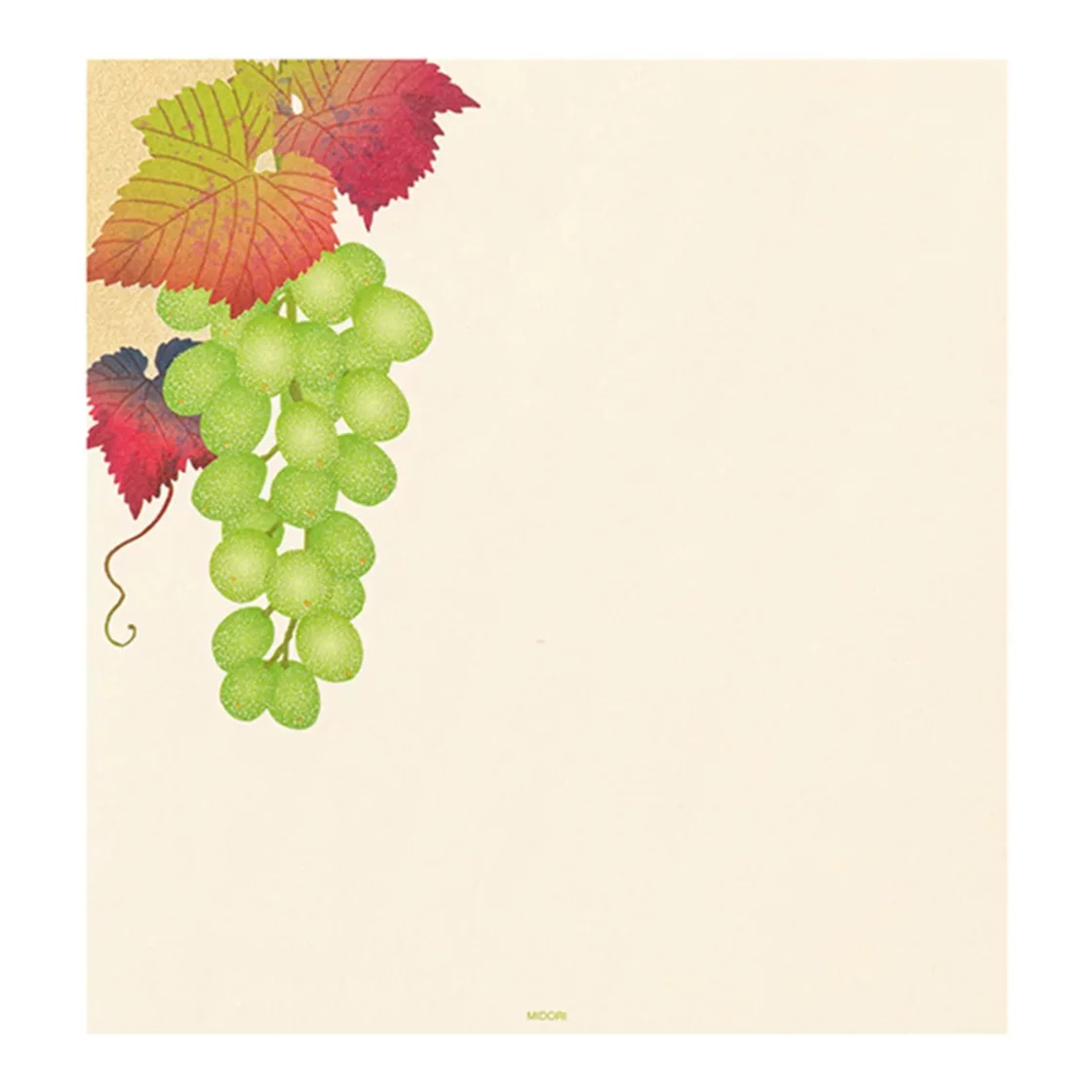 74.1 Grapes Letter Paper * Midori