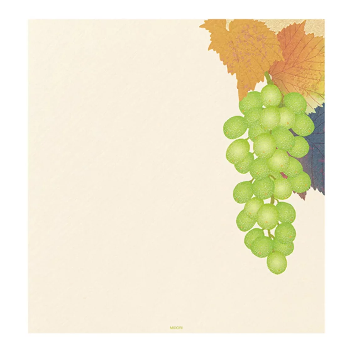 74.1 Grapes Letter Paper * Midori